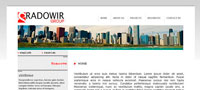 Radowir group
